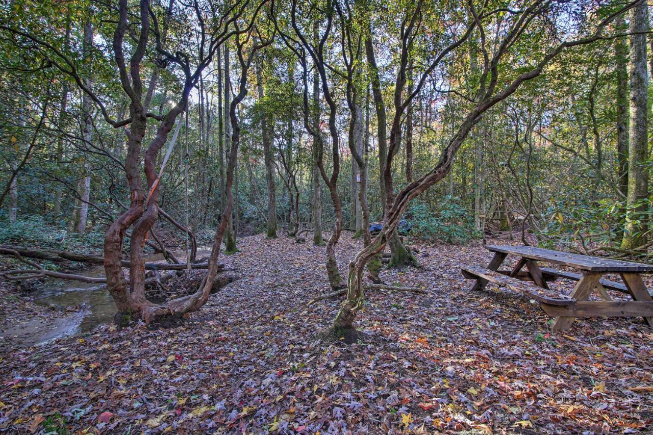 5-Acre North Georgia Mountain Retreat With Creek! Villa Sautee Nacoochee Eksteriør bilde